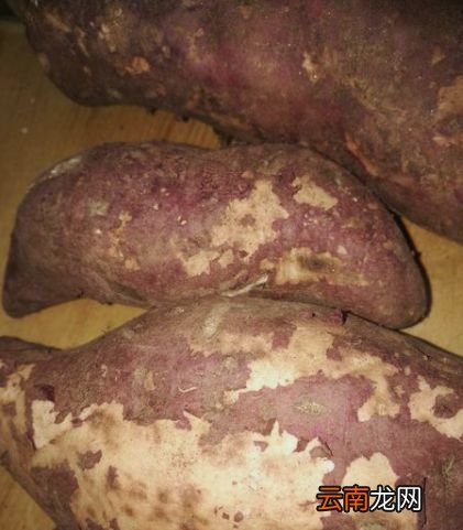 电压力锅如何焖红薯