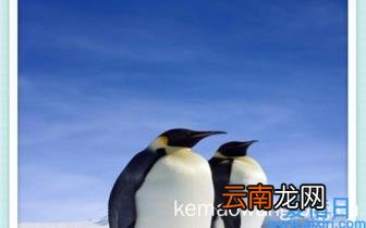 什么叫网络营销策划 最成功的网络营销案例介绍