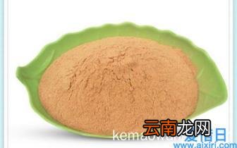 世界笔记本电脑排名有哪些牌子 全球国际笔记本电脑排名