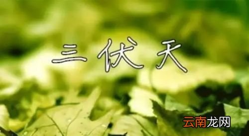 2022年三伏天怎么计算