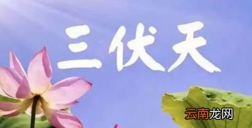 三伏天一共多少天