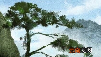 三伏天一共多少天