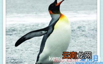 录歌用什么软件效果好 在家电脑上用的录音软件