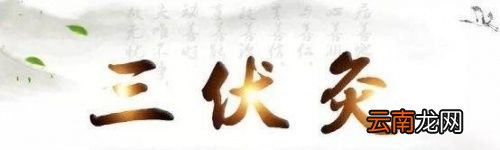 三伏天怎么排湿排寒