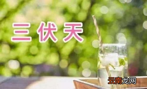 三伏天怎么排湿排寒