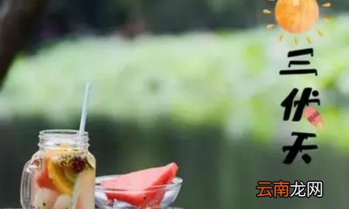 三伏天是几月几日