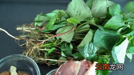 鱼腥草要怎么煮才止咳