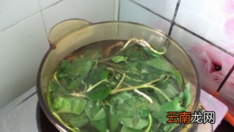 鱼腥草要怎么煮才止咳