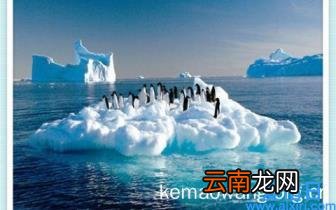 打电话隐藏自己号码的方法 给别人拨打电话如何隐藏自己的号码