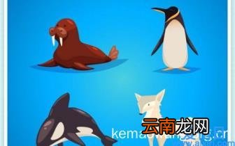 打电话隐藏自己号码的方法 给别人拨打电话如何隐藏自己的号码