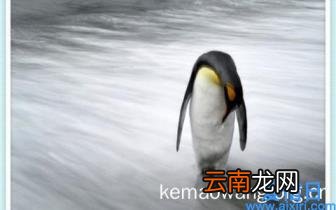 如何能唱好歌科学的方法 初学者唱好歌曲的技巧
