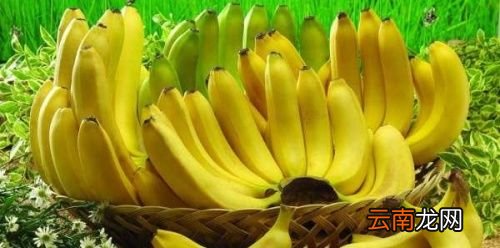 吃什么能大量排便