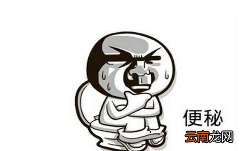 吃什么能大量排便