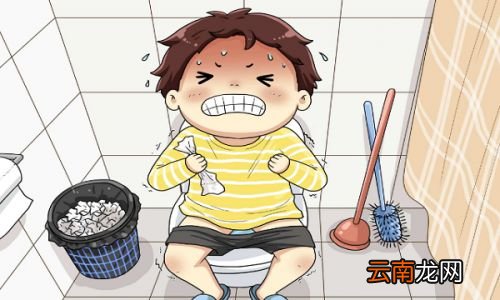 吃什么能大量排便