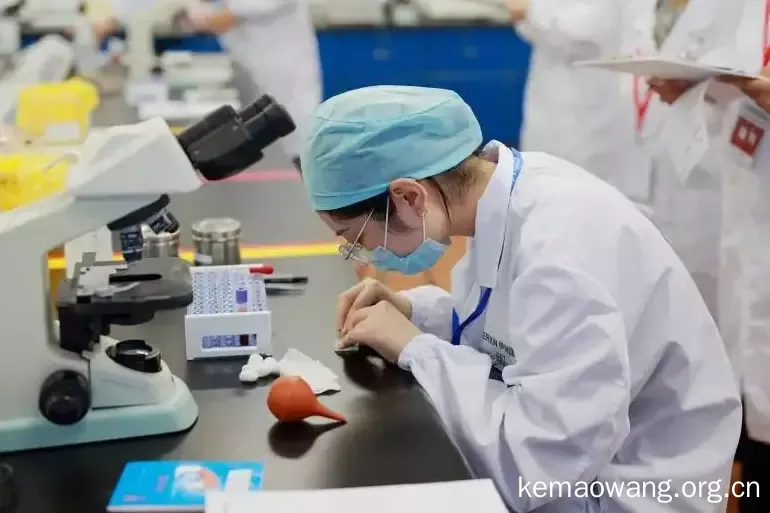 女生没学历学什么好 女生学什么技术最吃香