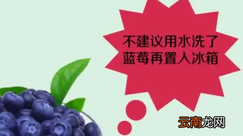 吃不完的蓝莓怎么保存