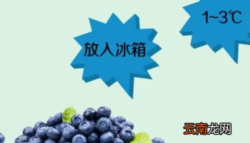吃不完的蓝莓怎么保存