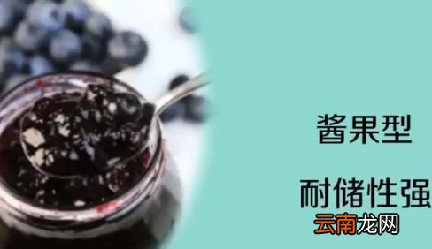 吃不完的蓝莓怎么保存