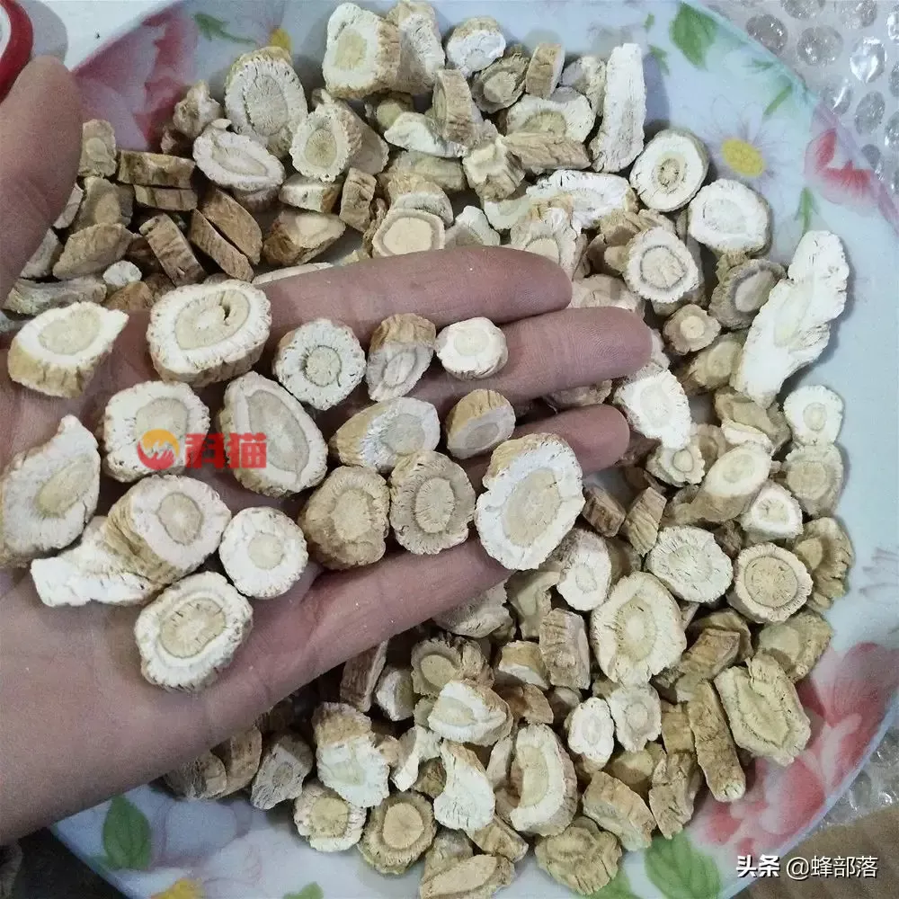 种植什么药材收入高 种植中药材哪些药材前景好