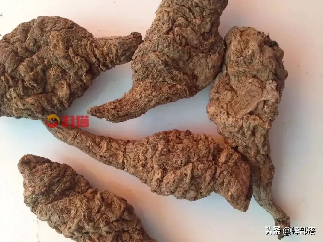 种植什么药材收入高 种植中药材哪些药材前景好
