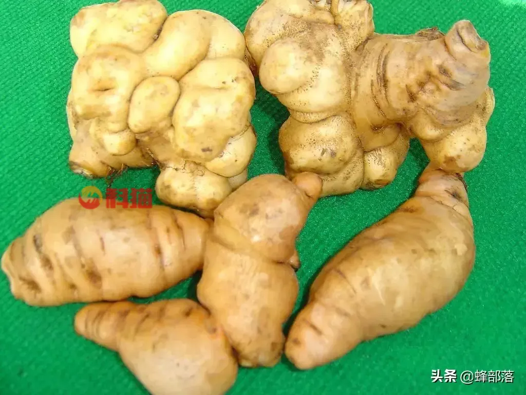 种植什么药材收入高 种植中药材哪些药材前景好