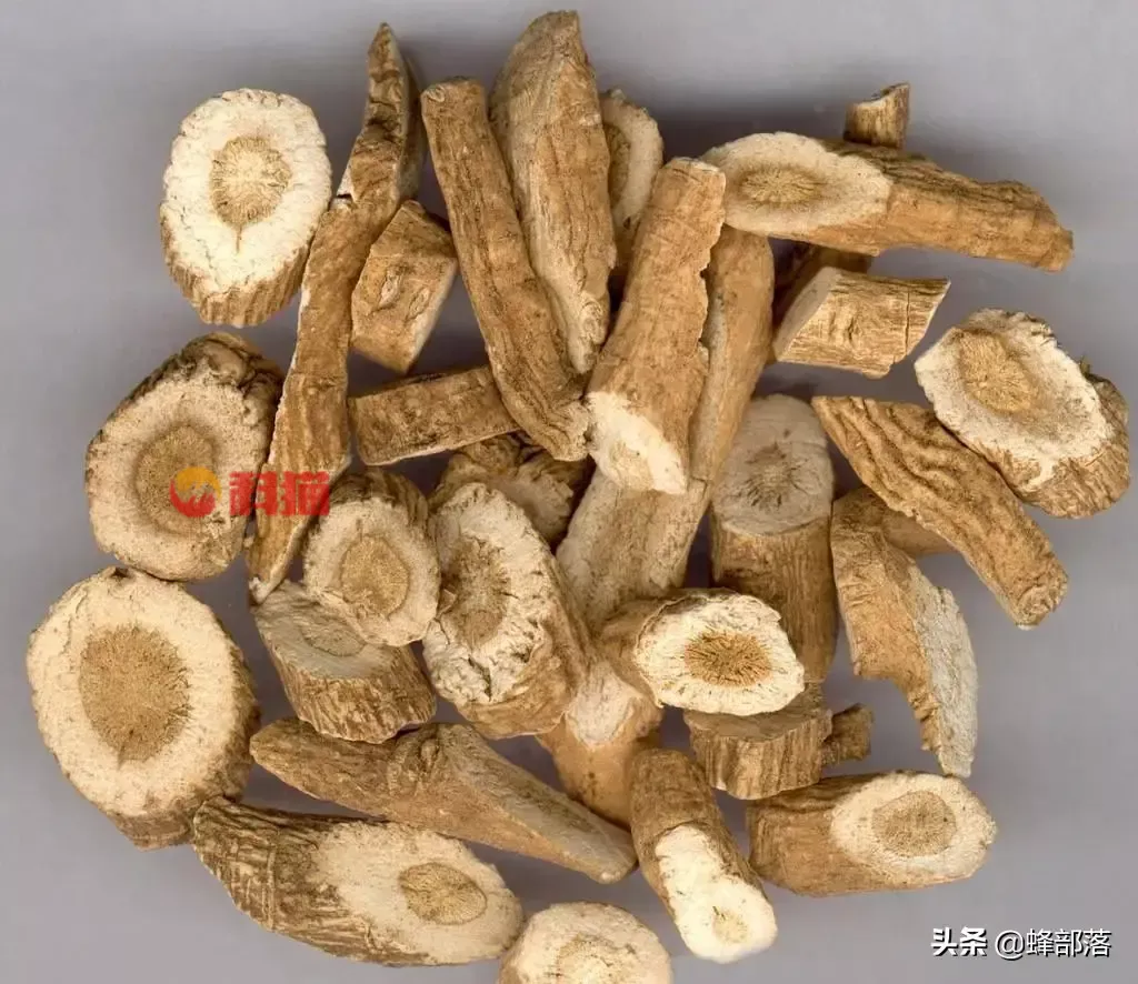 种植什么药材收入高 种植中药材哪些药材前景好