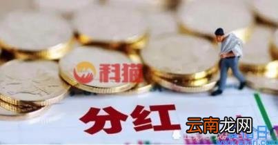 盈余公积是什么意思 盈余公积通俗易懂解释