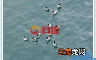 存三年死期能提前取吗 银行存的定期可以提前取吗