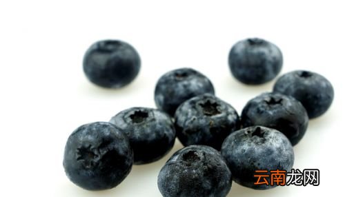 蓝莓买多了吃不完可以冷冻吗