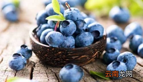 洗过的蓝莓怎么保存