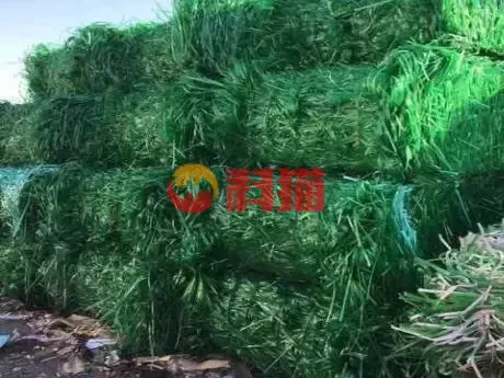 新手怎么开废品回收站 垃圾回收怎么创业