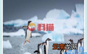 新手怎么开废品回收站 垃圾回收怎么创业