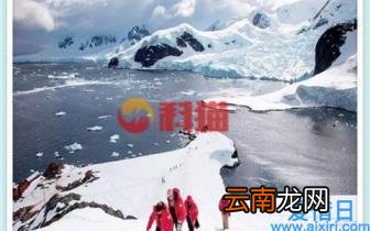 黑龙江女子网上买小金鱼，到货之后冻成冰块，网友：起锅烧油吧