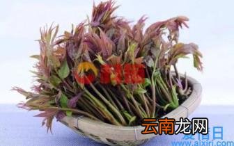 城镇化率计算公式是什么 常住人口城镇化率计算公式概念