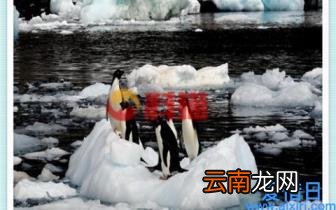 电子商务专业就业方向有哪些 电子商务的发展现状和趋势