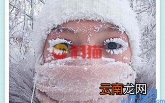 电子商务专业就业方向有哪些 电子商务的发展现状和趋势