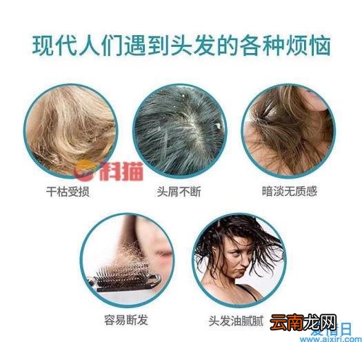 笛梵洗发水怎么样 笛梵是哪个国家的品牌