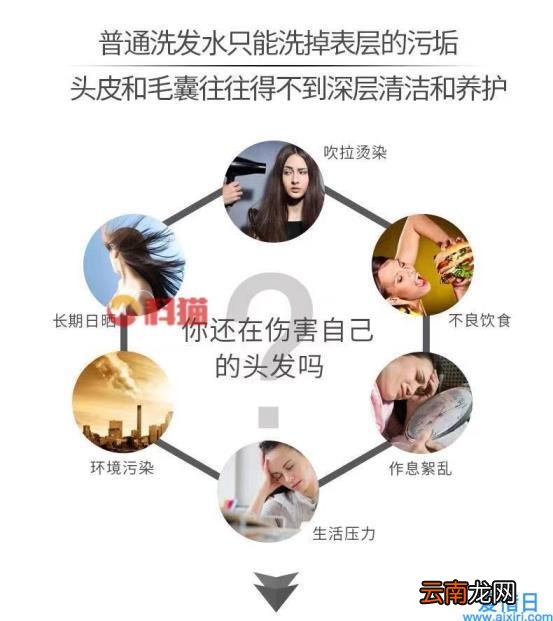 笛梵洗发水怎么样 笛梵是哪个国家的品牌