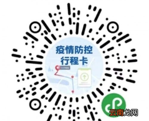 行程码多久会更新