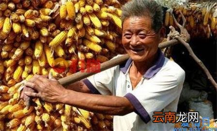 押钞员工资多少 押钞员上班都干什么
