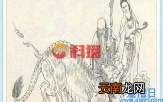 性价比高的山地车品牌推荐 2022山地车入门推荐