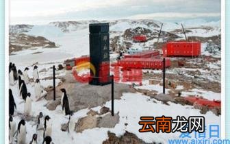 上海5名新增感染者详情公布:3人为奶茶店服务人员