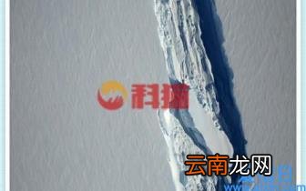 激励机制的作用和意义是什么 浅谈企业激励机制的作用和重要性