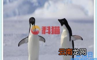 激励机制的作用和意义是什么 浅谈企业激励机制的作用和重要性