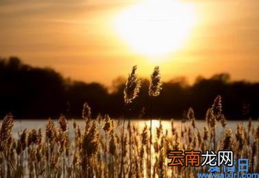 比较短的美文 简短美文摘抄赏析