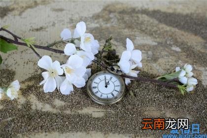精美词句段摘抄大全 最简短经典唯美句子摘抄