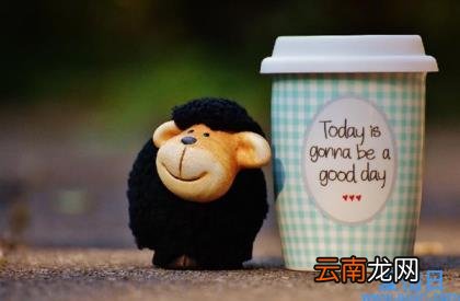 精美词句段摘抄大全 最简短经典唯美句子摘抄