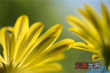 精美词句段摘抄大全 最简短经典唯美句子摘抄