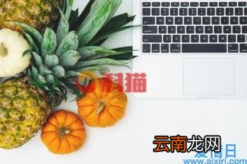 最新论文：用GAN监督学习给左晃右晃的猫狗加表情，很丝滑很贴合