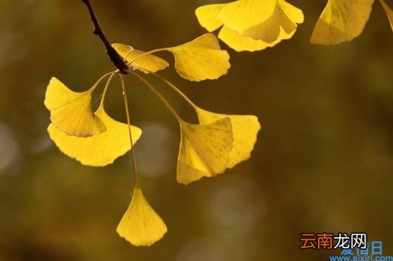 散文优美段落精选 散文优美段落精选及赏析